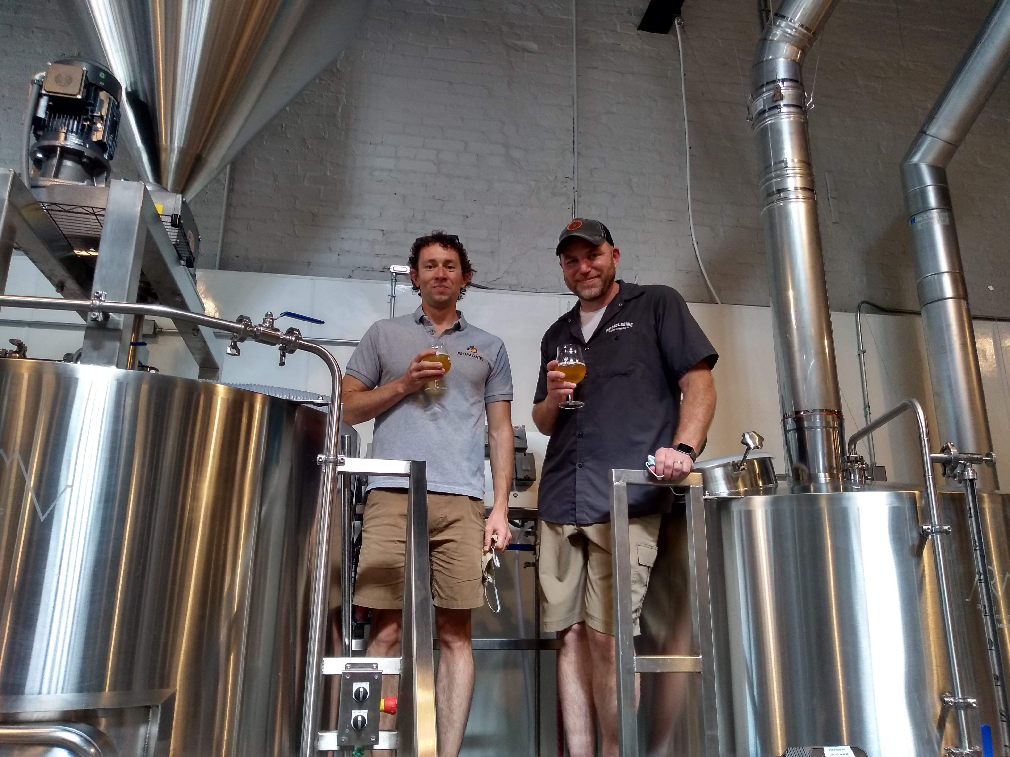 Eli - Head Brewer